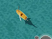 Shark Attack