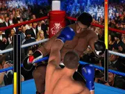 Ultimate Boxing