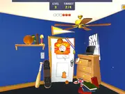 Basketball Hoops