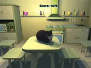 Maxwell Clicker