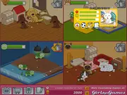 Animal Shelter