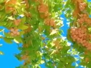 Fruit Lovers